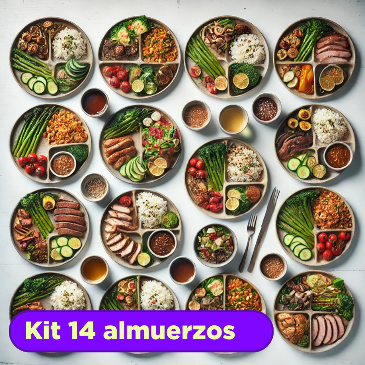 Kit 14 Comidas Caseras Congeladas - Redi Food 