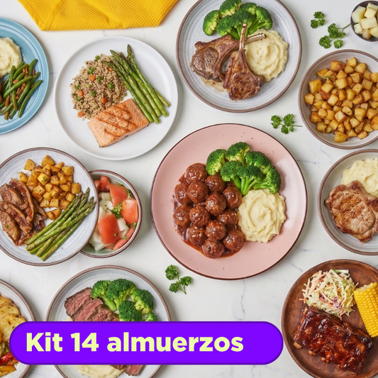 Kit 14 Comidas Caseras Congeladas
